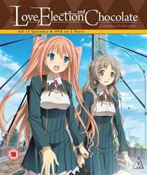 Love election & chocolate collection