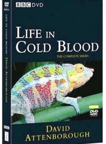 Life in cold blood