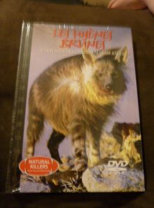 Les hyenes brunes, fantomes des grands marais salés n°11