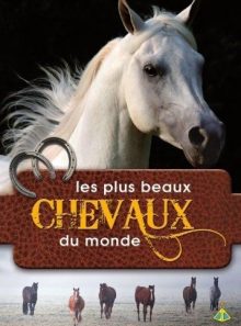 Chevaux les cavaliers de l'atlas marocain