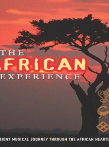 African experience - v/a