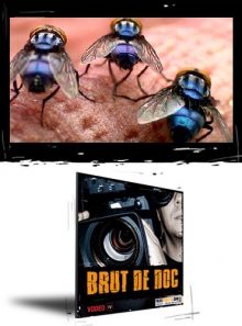 La guerre des mouches - mouches à tout faire