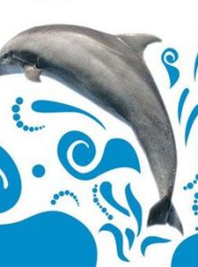 Flipper le dauphin - saison 1 - episodes 13 a 15