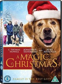 A magic christmas [dvd]