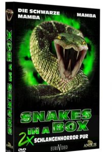 Snakes in a box - die schwarze mamba & mamba