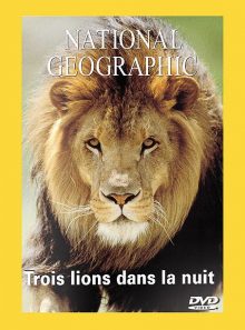 National geographic - trois lions dans la nuit