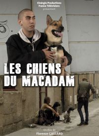 Les chiens du macadam