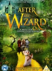 After the wizard