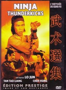 Ninja thunderkicks