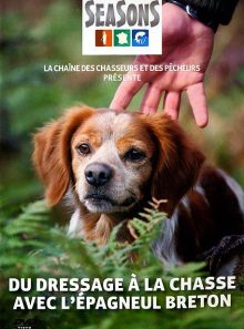 Du dressage à la chasse avec l'épagneul breton