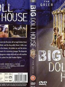 Big doll house