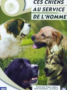 Ces chiens au service de l'homme