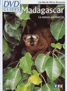 Madagascar - grandeur nature