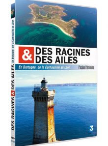 Des racines et des ailes - passion patrimoine - en bretagne, de la cornouaille au léon