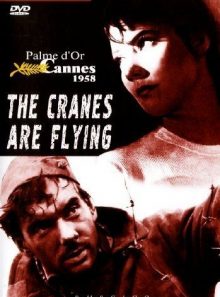 The cranes are flying
