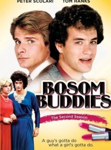 Bosom buddies - the second season