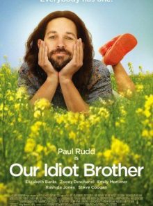 Our idiot brother [dvd]