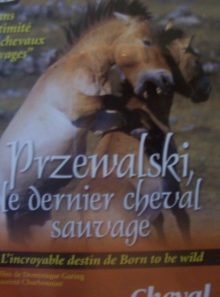 Przewalski le dernier cheval sauvage