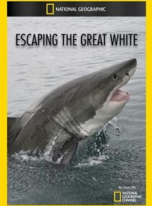 Escaping the great white