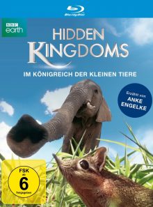 Hidden kingdoms - im königreich der kleinen tiere