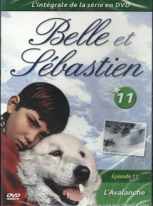 Belle et sébastien - dvd n°11 - l'avalanche
