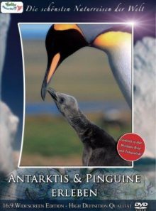 Die schönsten naturreisen der welt: antarktis & pinguine erleben