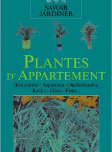 Plantes d'appartement : bien cultiver (asplenium, dieffenbacchia, kentia...)