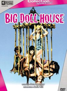 The big doll house