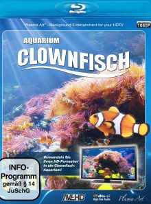 Clownfisch-aquarium