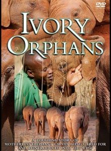 Ivory orphans [import anglais] (import)