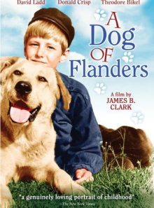 A dog of flanders