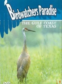 Birdwatchers paradise - the gulf coast of texas