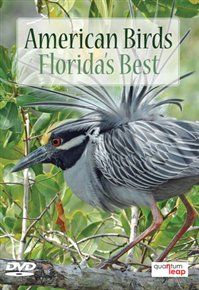 American birds: florida's best
