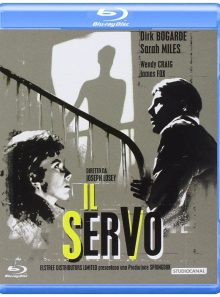 Il servo - the servant (1963)