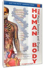 The human body: major systems & organs