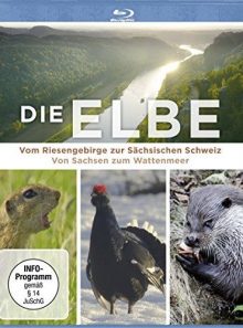 Die elbe-vom riesengebirge zur sächsischen schwe