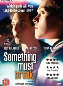 Something must break [dvd]