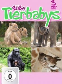 Süße tierbabys [3 dvds] (coffret de 3 dvd)