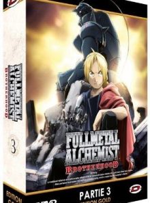 Fullmetal alchemist : brotherhood - partie 3 - edition gold (5 dvd)