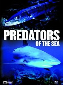 Predators of the sea