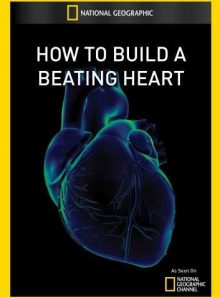 How to build a beating heart