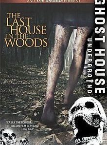 The last house in the woods