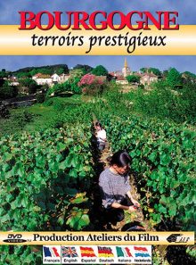 Bourgogne : terroirs prestigieux