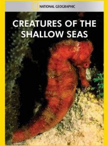 Creatures of the shallow seas