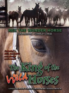 The king of the wild horses