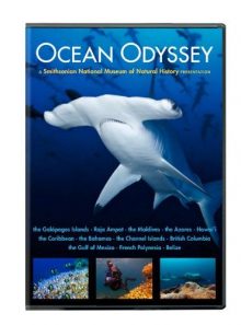 Ocean odyssey