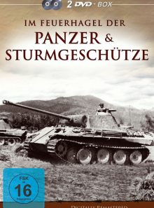 Im feuerhagel der panzer & sturmgeschütze (2 discs)