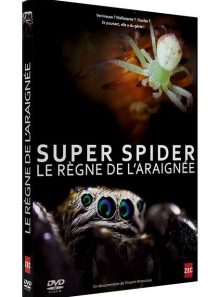 Super spider : le règne de l'araignée