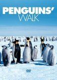 Penguin's walk
