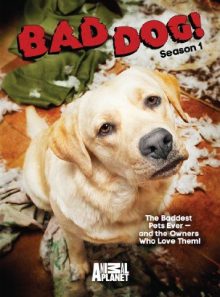 Bad dog! season 1